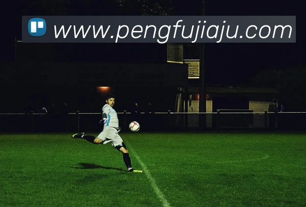 乐鱼官方网站，乐鱼online（中国）发展历程